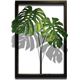 風景専門店あゆわら 《リーフパネル》F-style Tuinie （エフスタイル・ツイーニー）Monstera deliciosa（モンステラデリシオサ）