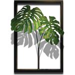 風景専門店あゆわら 《リーフパネル》F-style Tuinie （エフスタイル・ツイーニー）Monstera deliciosa（モンステラデリシオサ）