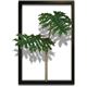 風景専門店あゆわら 《リーフパネル》F-style Tuinie （エフスタイル・ツイーニー）Philodendron bipinnatifidum（セローム ヒトデカズラ）