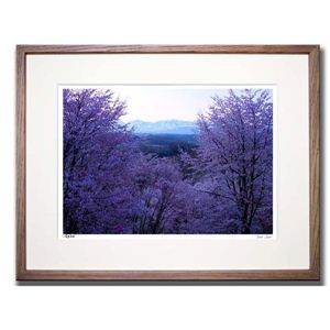 風景専門店あゆわら 《アートフォトフレーム》 桜6／上富良野町 【富良野・高橋真澄】