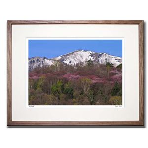 風景専門店あゆわら 《アートフォトフレーム》 残雪と桜1／富良野市 【富良野・高橋真澄】