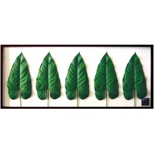 s[tpltAnthurium leaf(AXE[t) ^Cv1 yTCY 1375x570x30mmz