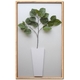 �ԥ꡼�եѥͥ��Ficus Umbellata(�ե����� ����٥顼��) ������2 �ڥ����� 790x1390x50mm��