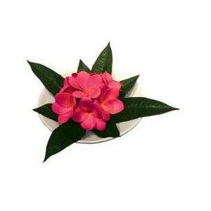 sԁEԕrtF-style vase Plumeria Pink(vAx[X/sN)