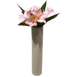 sԁEԕrtF-style vase Plumeria Pink(vAx[X/CG[)