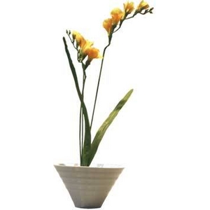 sԁEԕrtF-style vase Freesia(t[WA)