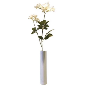 sԁEԕrtF-style vase Queen anne's Lace(NC[AYE[X(mjW))