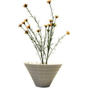 sԁEԕrtF-style vase Wild mini daisy(Ch ~j fCW[)