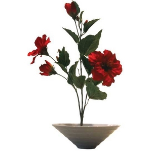 sԁEԕrtF-style vase Hibiscus(nCrXJX)