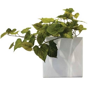 sԁEԕrtF-style vase Sweet Potato leaf(XC[g |eg [t)