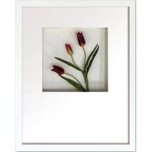 st[t[tHana concept frame Tulip/red(`[bv/bh)