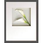 st[t[tHana concept frame Calla I(J[1)