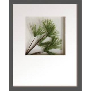 s[tA[gtHana concept frame Pine pick I(1)