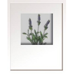 ԥեե졼Hana concept frame Lavender(٥)