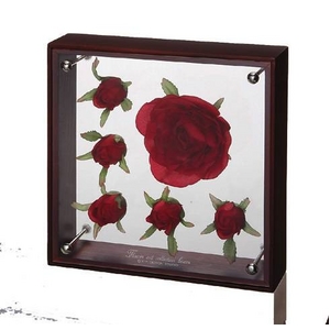 �s�t�����[�t���[���t�t�����[�A�[�g �R���N�V�����{�b�N�X M�T�C�Y�E���b�h���[�Y�o�h