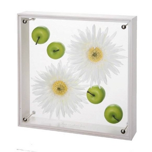 �s�t�����[�t���[���t�t�����[�A�[�g �R���N�V�����{�b�N�X L�T�C�Y�E�z���C�g�K�[�x��&�A�b�v��