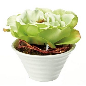 �s���ԁE�ԕr�t�N���G�C�e�B�u�t�����[�A�[�g ���[�Y�i���C���O���[���j