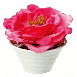 �s���ԁE�ԕr�t�N���G�C�e�B�u�t�����[�A�[�g ���[�Y�i�s���N�j