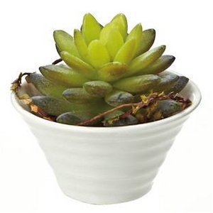 �s���ԁE�ԕr�t�N���G�C�e�B�u�t�����[�A�[�g �Z�_���E�A�h���t�B�[