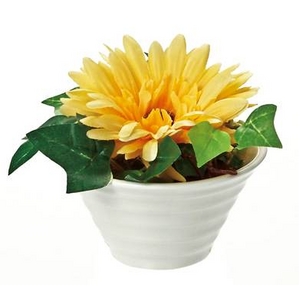 �s���ԁE�ԕr�t�N���G�C�e�B�u�t�����[�A�[�g �K�[�x���i�C�G���[�j