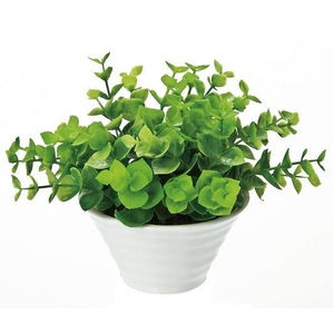 �s�l�H�ϗt�A���t�N���G�C�e�B�u�t�����[�A�[�g ���[�J���i�O���[���j