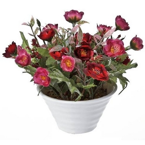 �s���ԁE�ԕr�t�N���G�C�e�B�u�t�����[�A�[�g �~�j���[�Y�i���C�����b�h�j