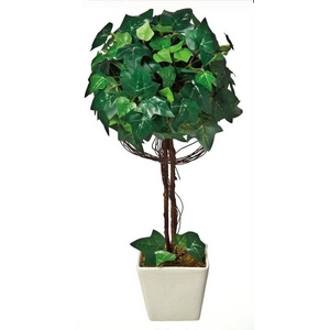 �s�l�H�ϗt�A���t�N���G�C�e�B�u�t�����[�A�[�g �A�C�r�[