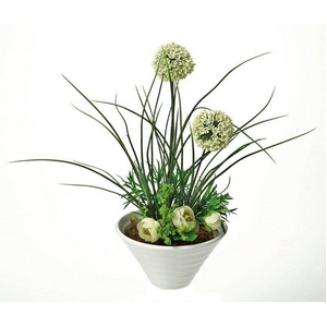 �s�l�H�ϗt�A���t�N���G�C�e�B�u�t�����[�A�[�g �A���E�� �A�����W