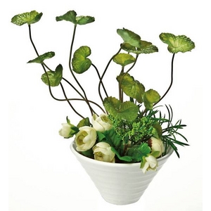 �s�l�H�ϗt�A���t�N���G�C�e�B�u�t�����[�A�[�g �Z���e���E�A�W�A�`�J �A�����W