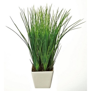 �s�l�H�ϗt�A���t�N���G�C�e�B�u�t�����[�A�[�g �A���y���C