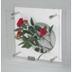 �ԥե��ե졼���HEARTFUL PLANTS 0127(��������ɥ�����)