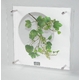 風景専門店あゆわら　《フラワーフレーム》HEARTFUL　PLANTS　0135（ベリー）