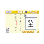 jeh[DS 250l̊`VƂƂ񊿎]`47000{pTlnꎫT