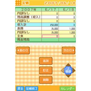 ニンテンドーDS ESSEしっかり家計簿DS