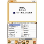 ニンテンドーDS 英検 完全版　5級から1級全級対応 最新過去問題・2次試験対策