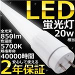 SunRuck（サンルック） 20形相当 蛍光灯型LEDライト 管長600mm SR-LEDT06N