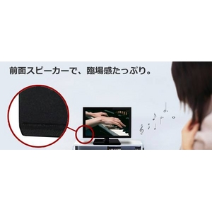 【エコポイント対象商品】 digi MOTION 16V型 液晶テレビ 薄型 地デジ ハイビジョン液晶TV 16インチ DT-1602K