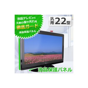 SunRuck(サンルック) 液晶保護パネル 22インチ用 22型 22V型 グレアパネル ITG-22G