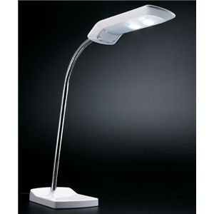 TWINBIRD(ツインバード) LEDライト LE-H611W