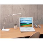 TWINBIRD(�ĥ���С���) LED�饤�� LE-H611W