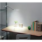 TWINBIRD(�ĥ���С���) LED����åץ饤�� LE-H621W