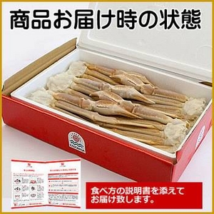 【年内発送12月28日(火)11時注文分まで】【半額】ボイルずわい蟹　4Lサイズ 2kg(5〜6肩)