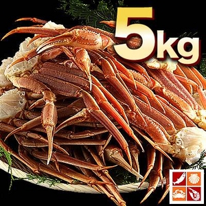 【訳あり】生ずわい蟹 極太 5kg 【15肩前後入り】