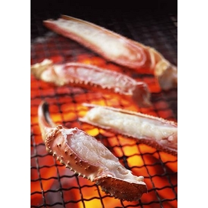 【訳あり】生ずわい蟹 極太 5kg 【15肩前後入り】