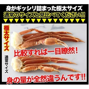 【訳あり】生ずわい蟹 極太 5kg 【15肩前後入り】