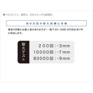 ATEX(アテックス) ブレスエアー エアトリノス AX-BM300