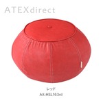 ATEX（アテックス） ルルド バランスツール LX　AX-HSL163rd / レッド