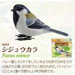 愛鳥倶楽部　ヒーリングバード03　シジュウカラ