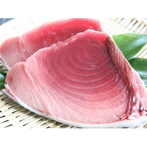 【お中元用 のし付き(名入れ不可)】マグロお得セット 1.8kg 船元直送だからできるこの価格!850084133