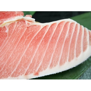 【お中元用 のし付き(名入れ不可)】船元直送!本マグロ大トロお試しセット!船元直送だから実現!本当に貴重な逸品がこの価格!850084136_